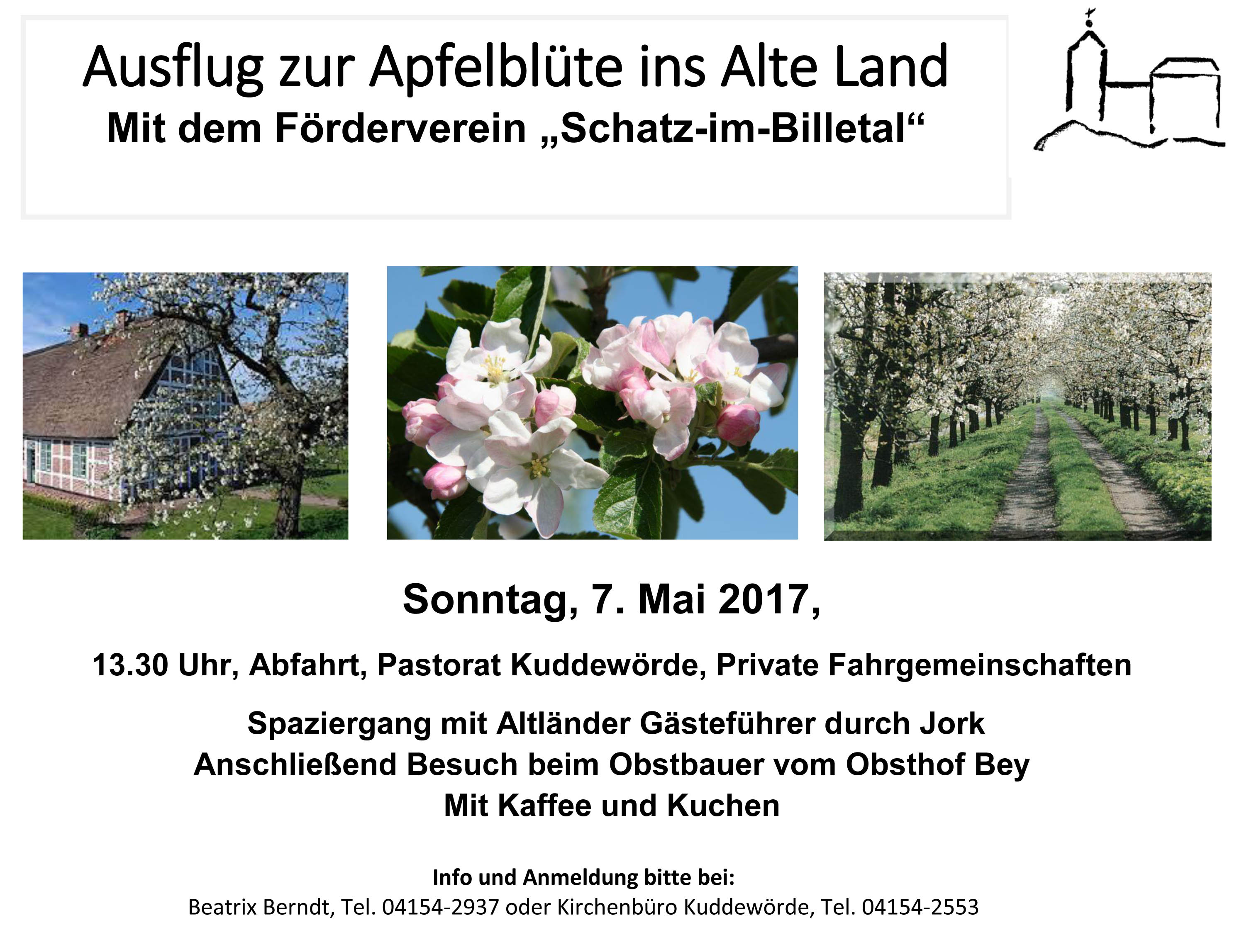Apfelblüte